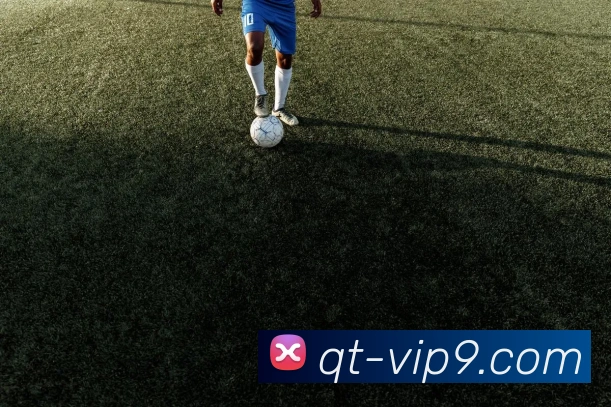体育App